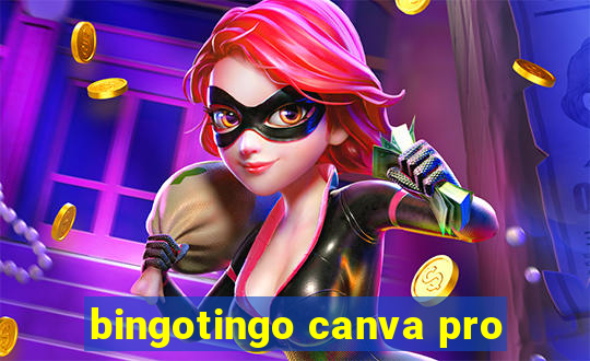 bingotingo canva pro